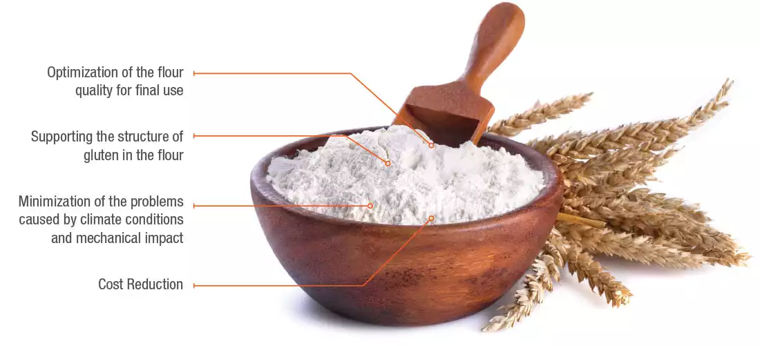 Flour Improvers