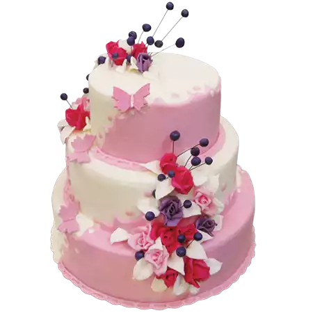 Sugar Paste / Fondant