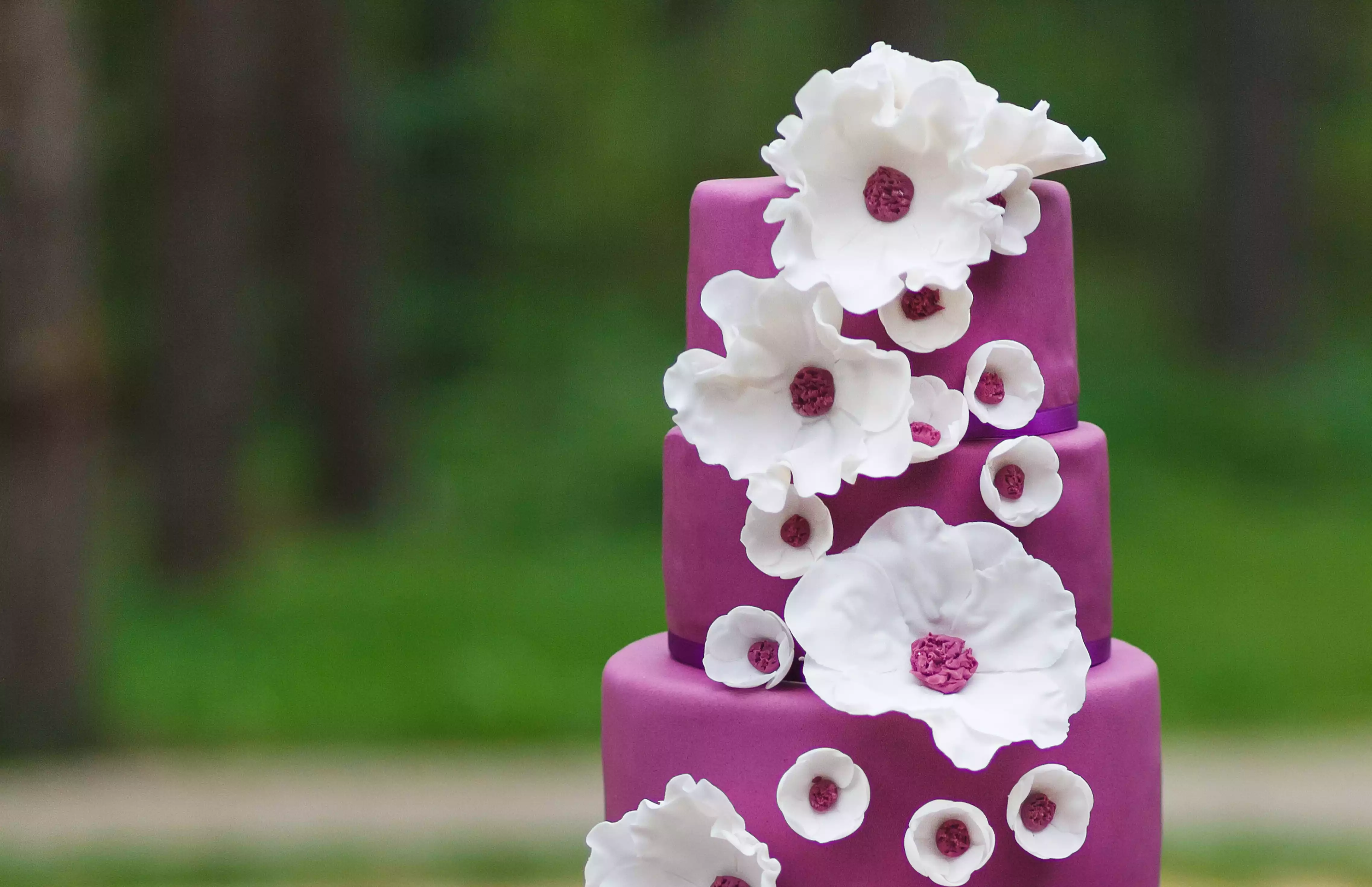 Sugar Paste / Fondant